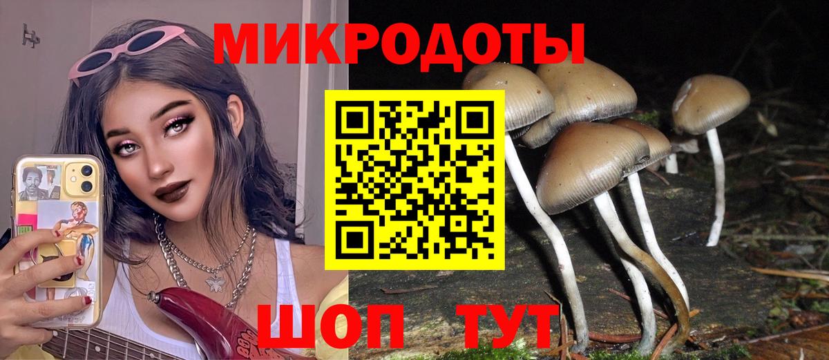 Псилоцибиновые грибы ЛСД Тула